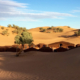 Desierto de Zagora Marruecos Viajes